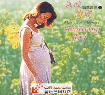 胎教音乐系列-胎教音乐(1)妈咪的爱_flac+cue 胎教CD下载